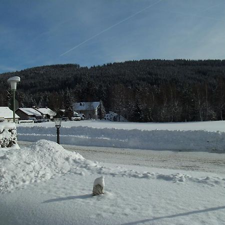 Hotel Rheingold Garni Titisee-Neustadt Extérieur photo