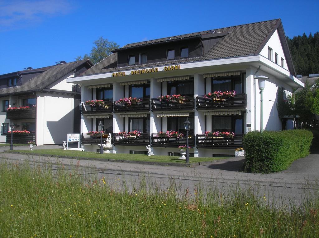 Hotel Rheingold Garni Titisee-Neustadt Extérieur photo