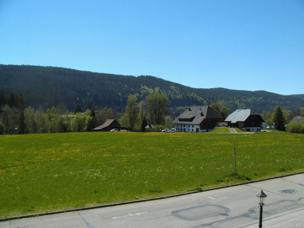 Hotel Rheingold Garni Titisee-Neustadt Extérieur photo