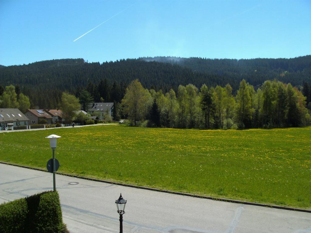 Hotel Rheingold Garni Titisee-Neustadt Extérieur photo