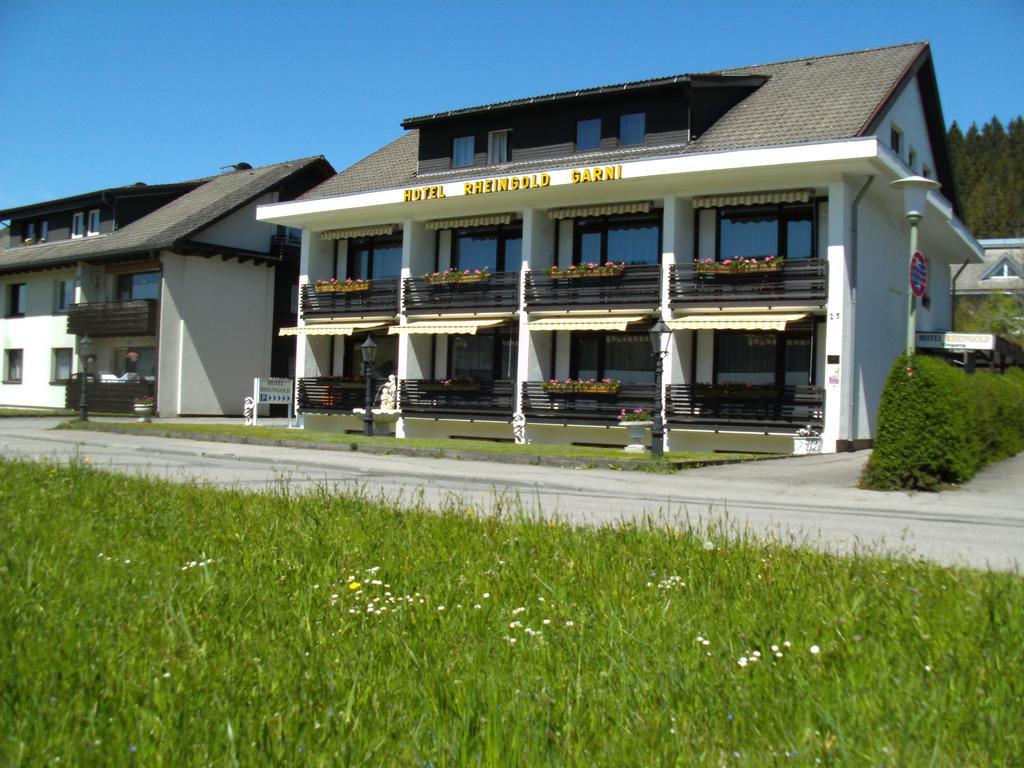 Hotel Rheingold Garni Titisee-Neustadt Extérieur photo