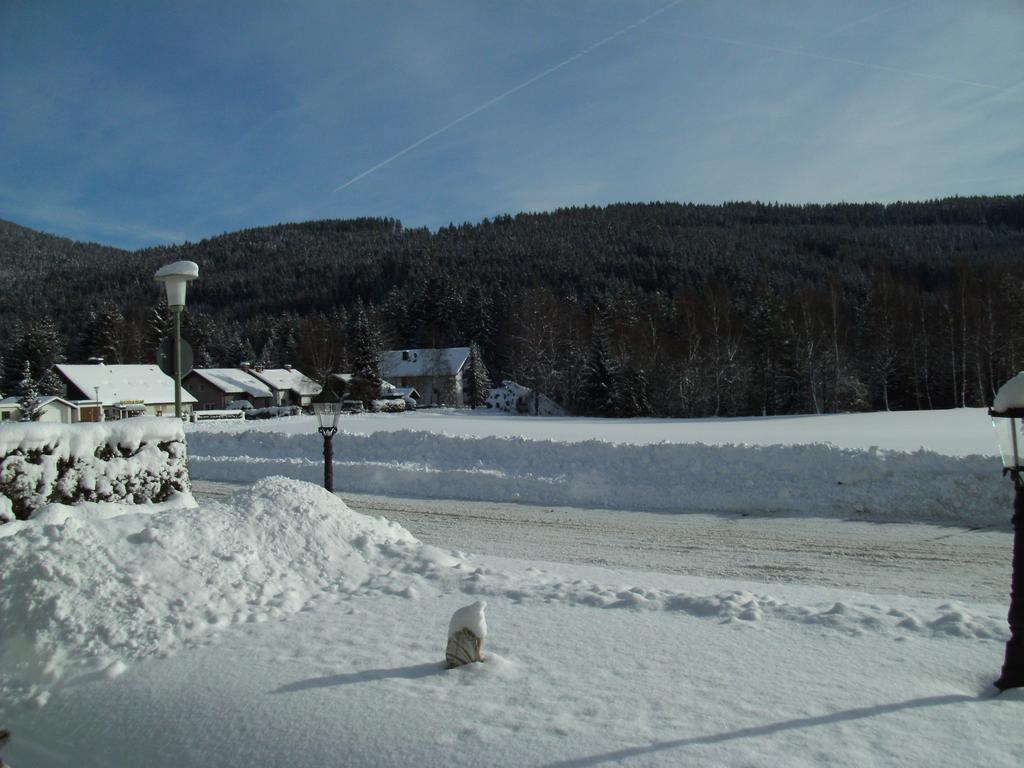 Hotel Rheingold Garni Titisee-Neustadt Extérieur photo