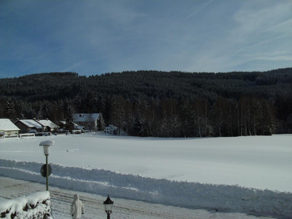 Hotel Rheingold Garni Titisee-Neustadt Extérieur photo
